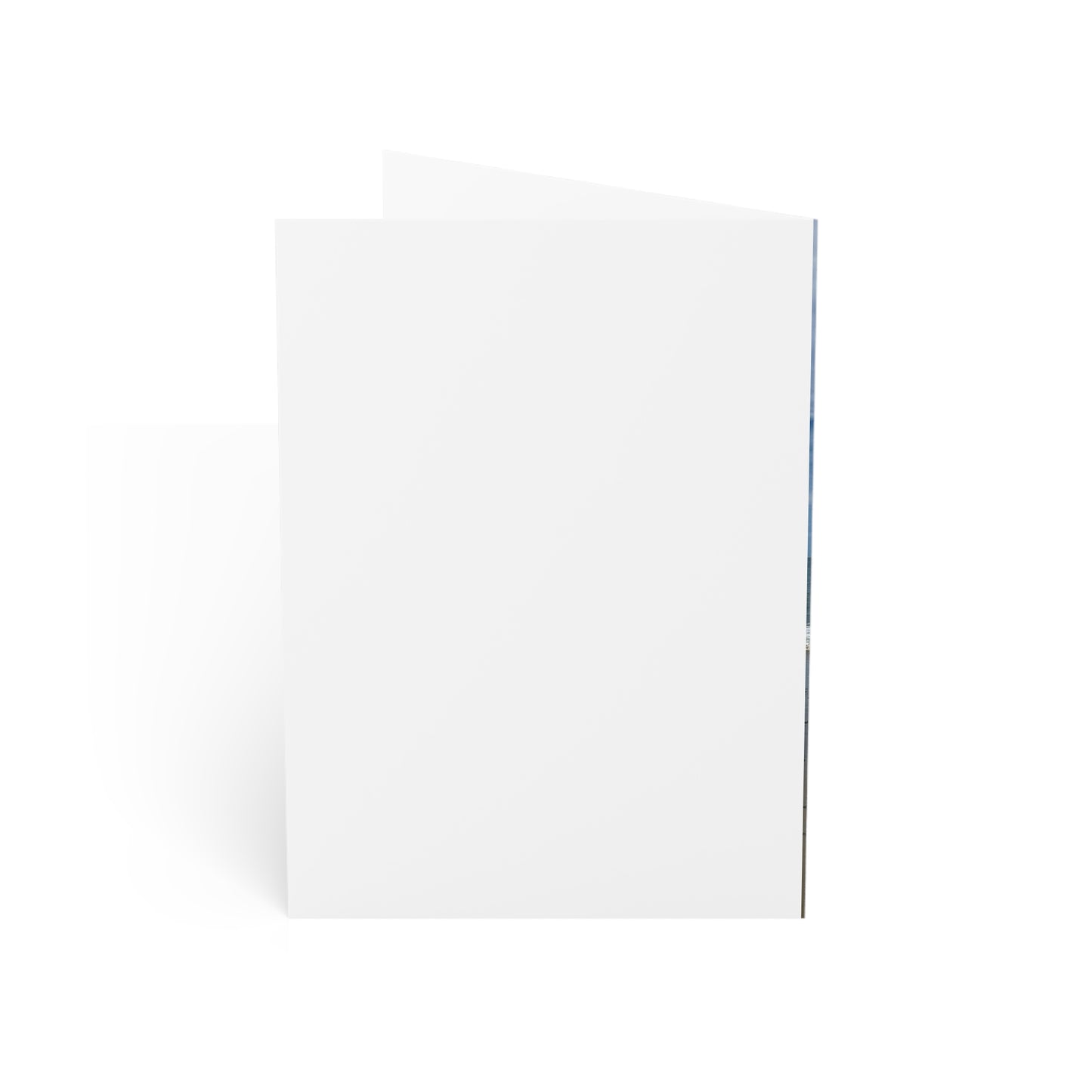 Christmas Cards 10 Pack with Envelopes Blank Inside 5" Width 7" Height "Beach Christmas Card with Seagull"