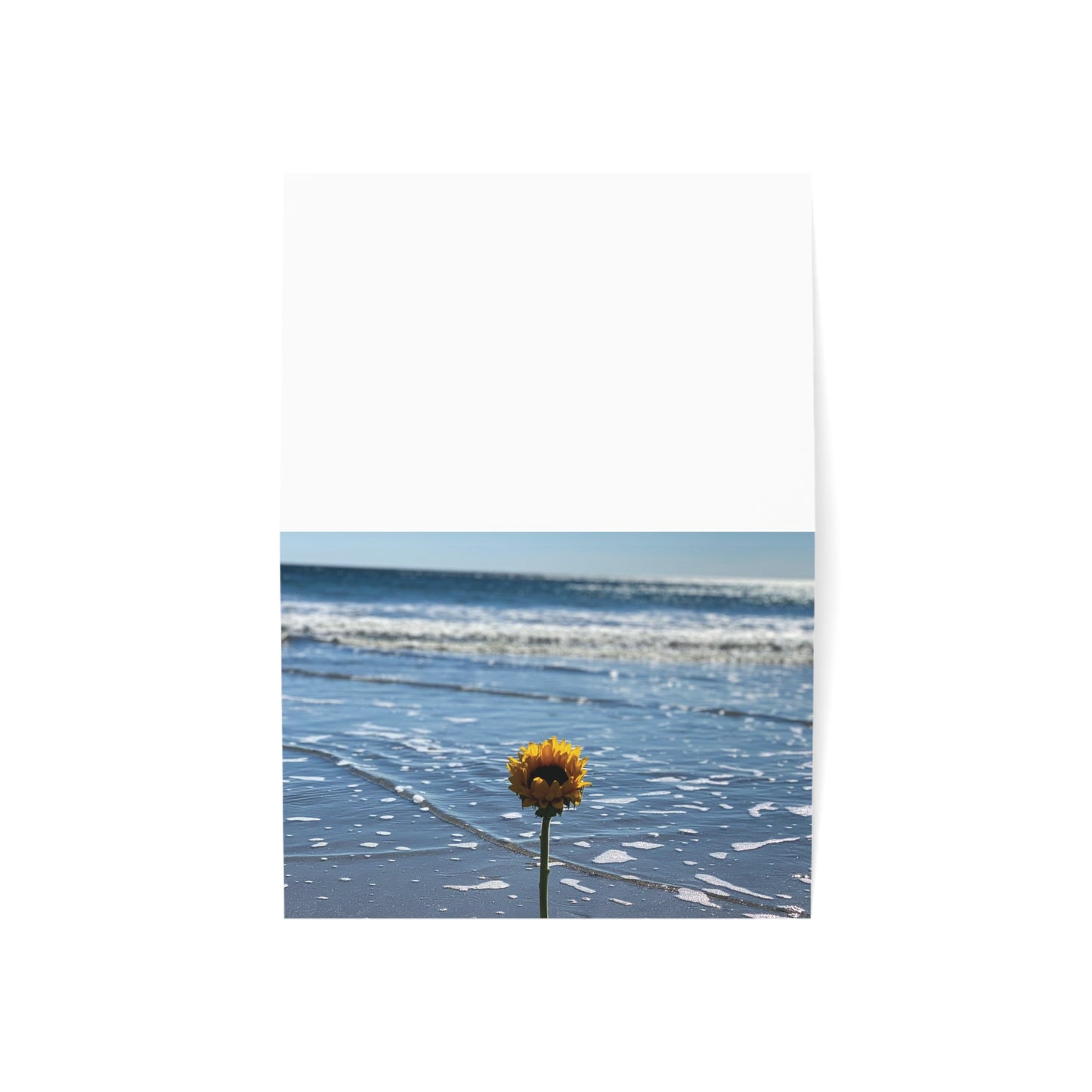 Set of 10 Notecards/ Blank Greeting Cards with matching envelopes and a matte finish. "Seaside Flower".