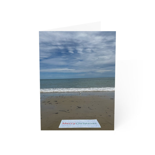 Christmas Cards 10 Pack with Envelopes Blank Inside 5" Width 7" Height  "Beach Christmas Card with Seagull"