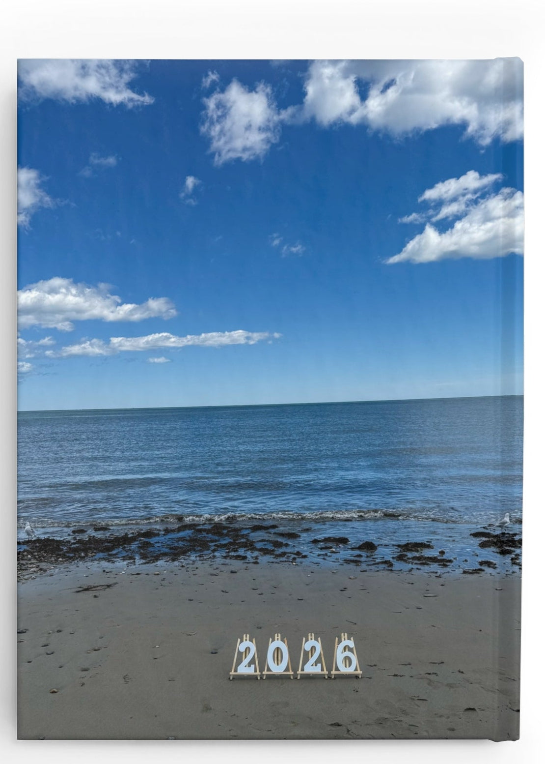 2026 Hardcover Blank Journal. “2026 Two Seagulls at the Beach”