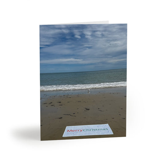 Christmas Cards 8 Pack with Envelopes Blank Inside 4.25" Width 5.50" Height  "Beach Christmas Card with Seagull"