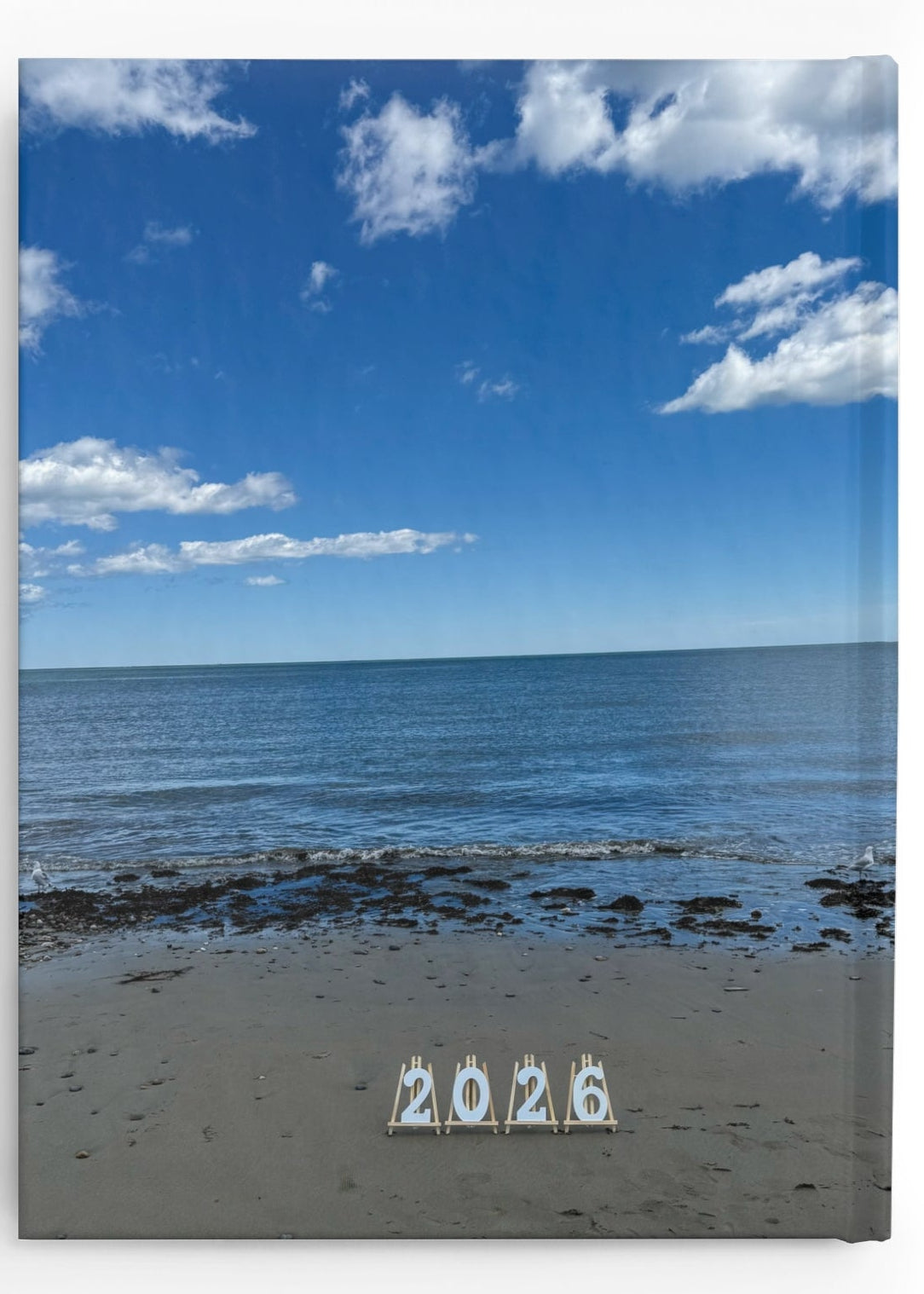 2026 Hardcover Blank Journal. (Personalized) “2026 Two Seagulls on the Beach”