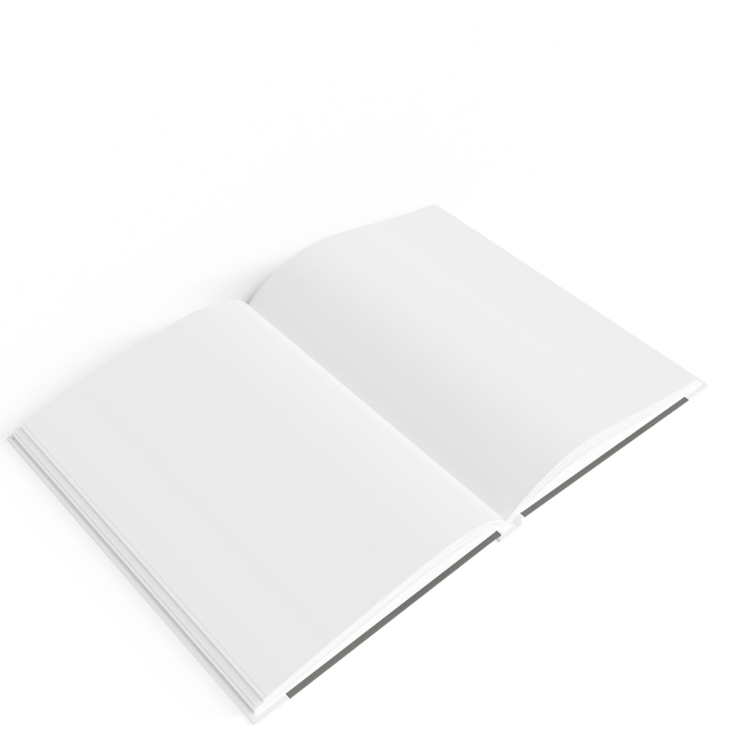 2026 Hardcover Blank Journal. “2026 Two Seagulls at the Beach”