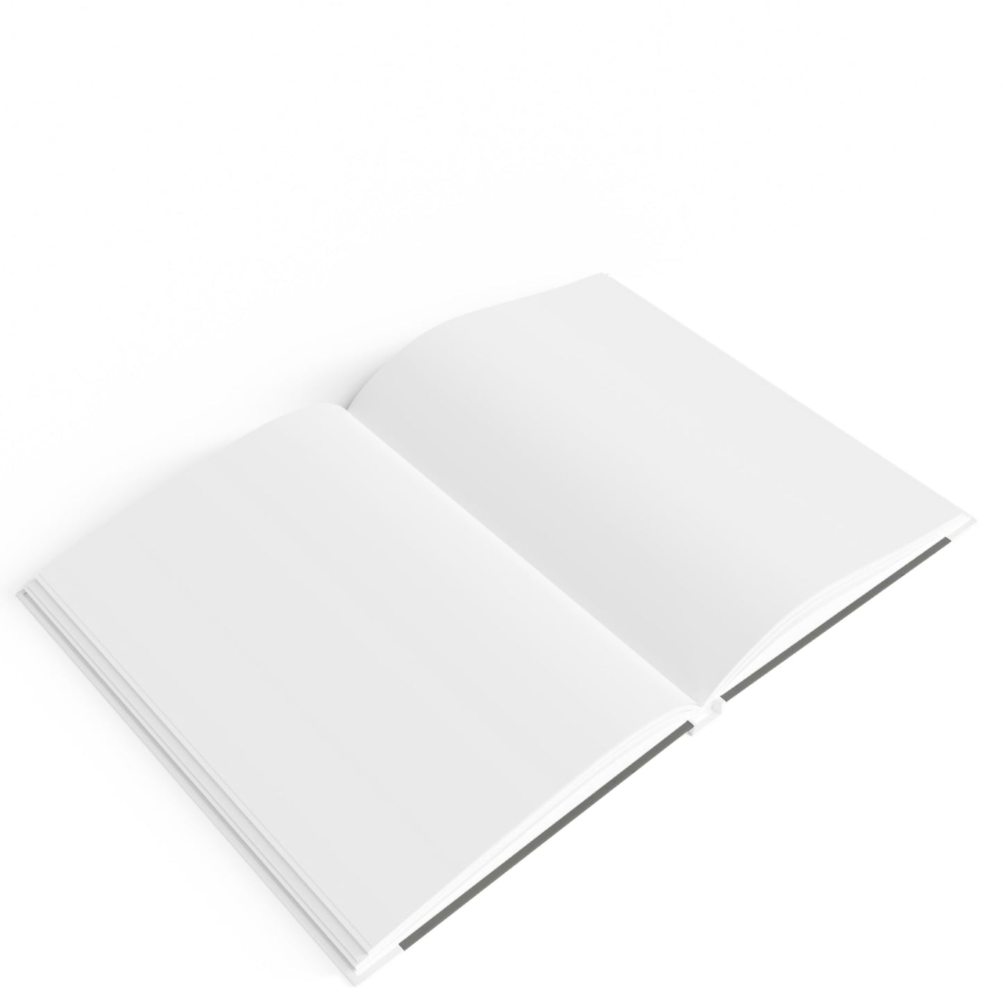 2026 Hardcover Blank Journal. (Personalized) “2026 Two Seagulls on the Beach”