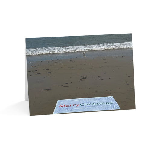 Christmas Cards 10 Pack with Envelopes Blank Inside 7" Width 5" Height  "Beach Christmas Card with Seagull"
