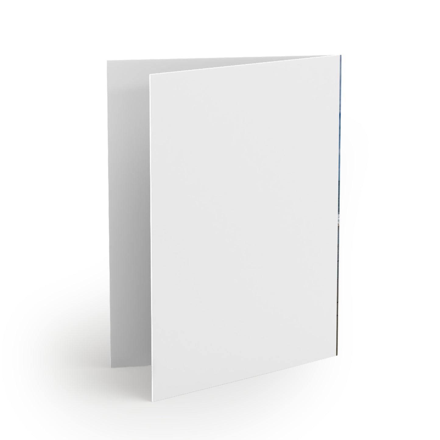 Christmas Cards 8 Pack with Envelopes Blank Inside 4.25" Width 5.50" Height  "Beach Christmas Card with Seagull"