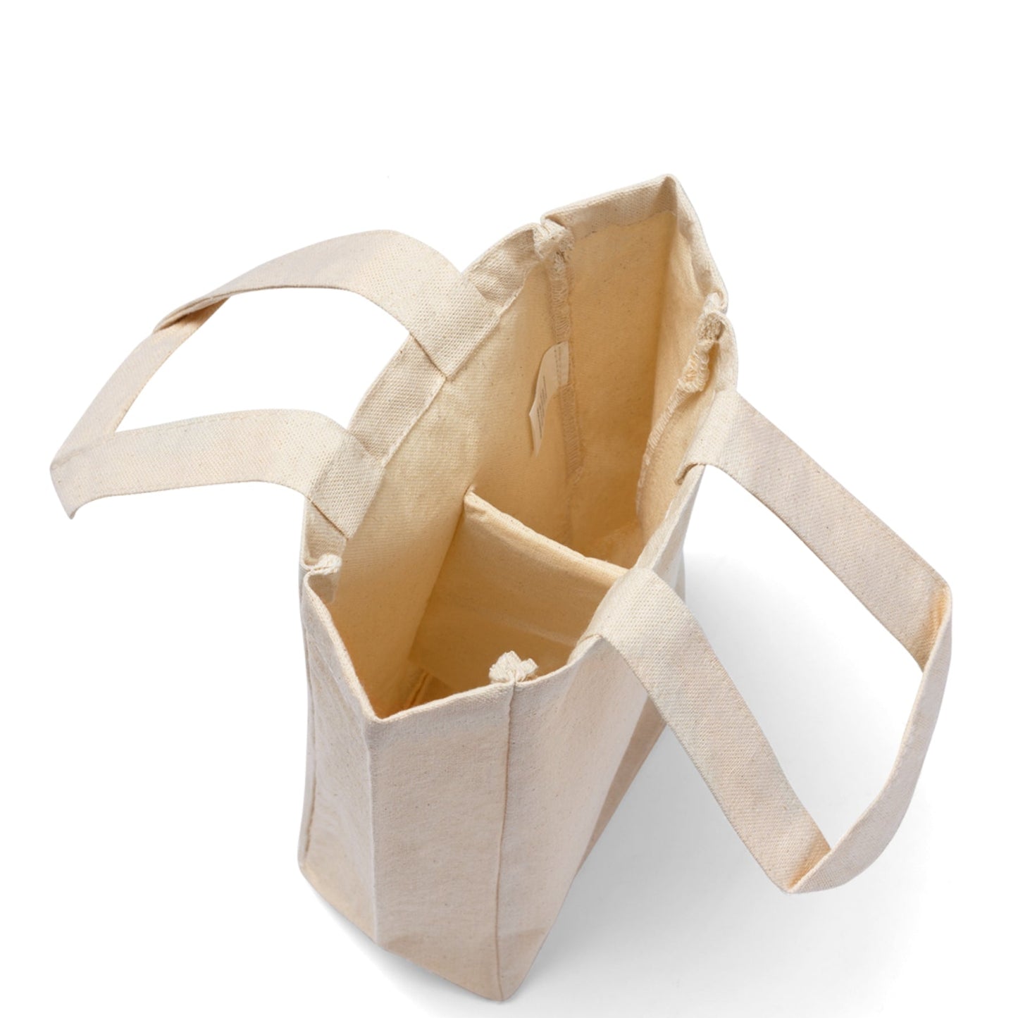 Wine Tote Bag Double (Two Bottles) with Print on One Side. "Beachy Flowers in a Bottle"