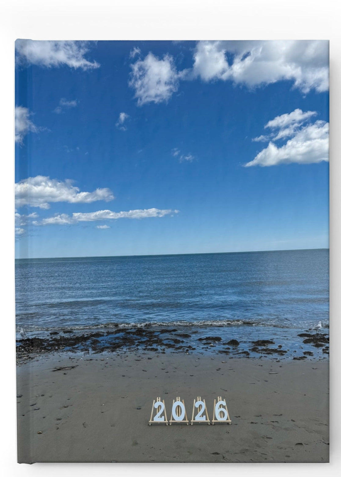 2026 Hardcover Blank Journal. “2026 Two Seagulls at the Beach”