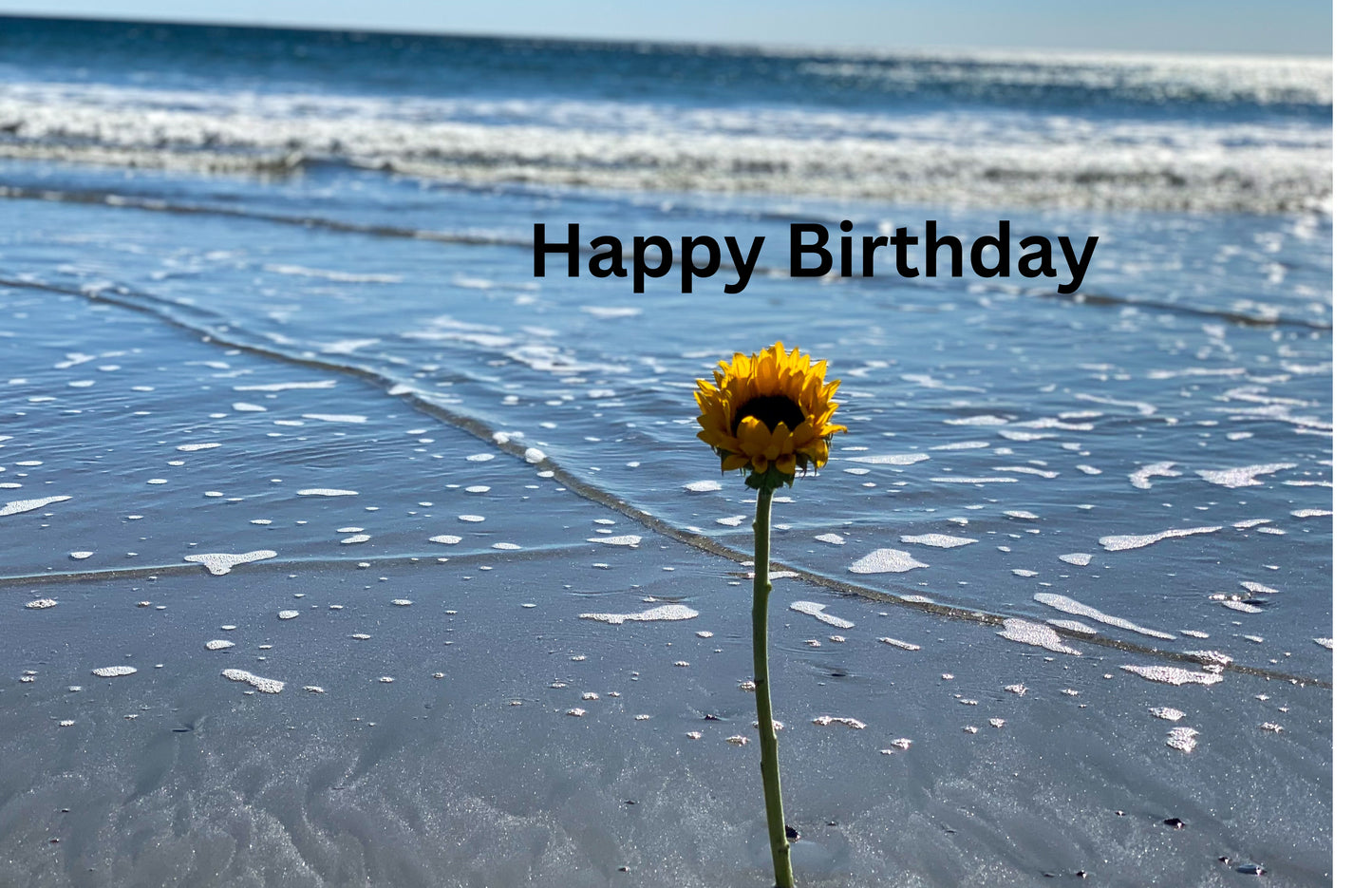Digital Birthday Card| Seaside Flower Happy Birthday| Send or Print